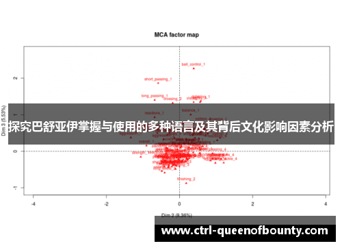 探究巴舒亚伊掌握与使用的多种语言及其背后文化影响因素分析 探究巴舒亚伊掌握与使用的多种语言及其背后文化影响因素分析