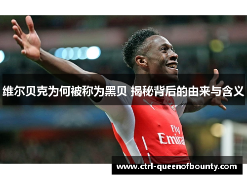 维尔贝克为何被称为黑贝 揭秘背后的由来与含义 维尔贝克为何被称为黑贝 揭秘背后的由来与含义